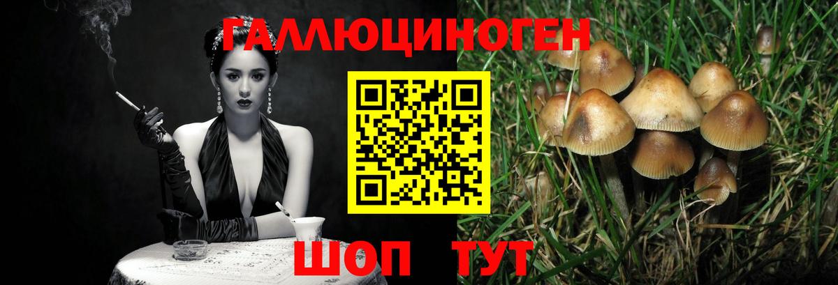 Октябрьский  Псилоцибиновые грибы Magic Shrooms  Вход с VPN  Галлюциногенные грибы прущие грибы 