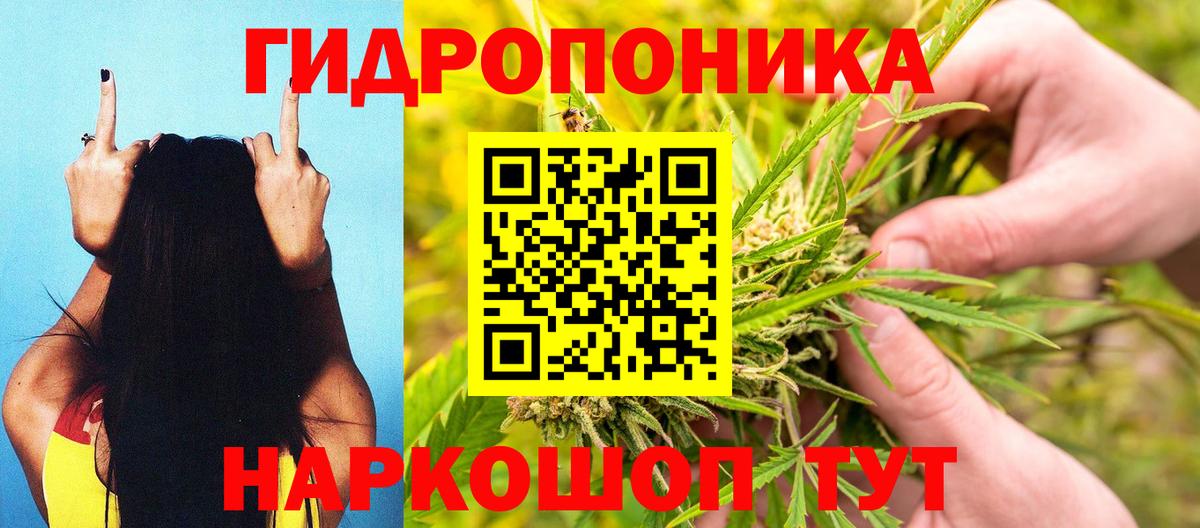 Каннабис сатива Октябрьский